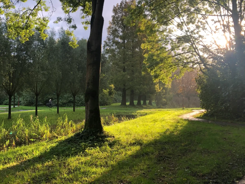 Uitjes in Zoetermeer